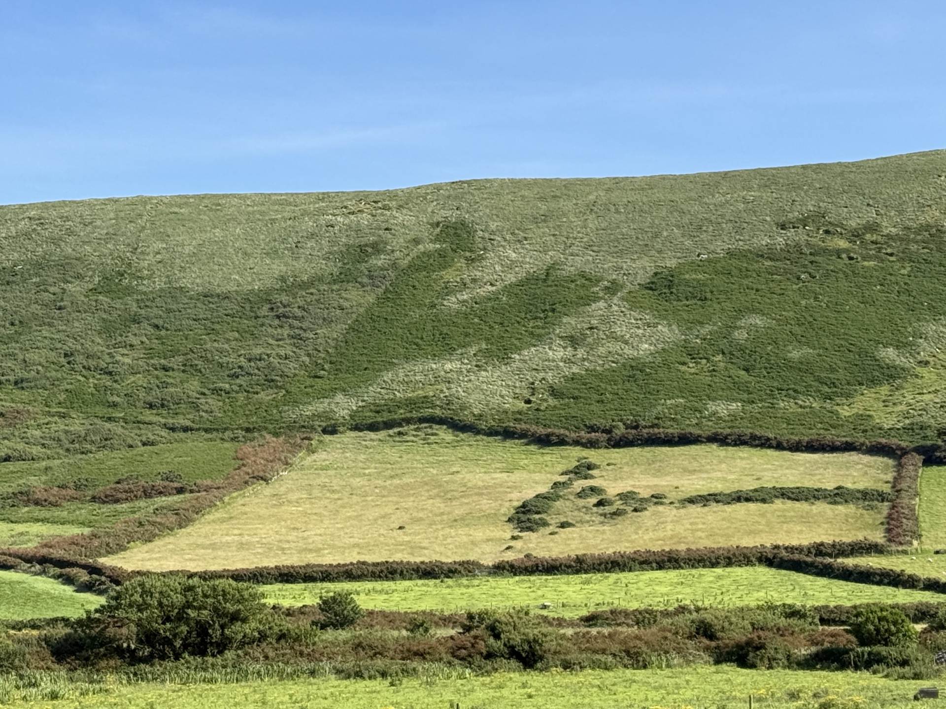 Lateeve Beg, Ballyferriter, Image 1