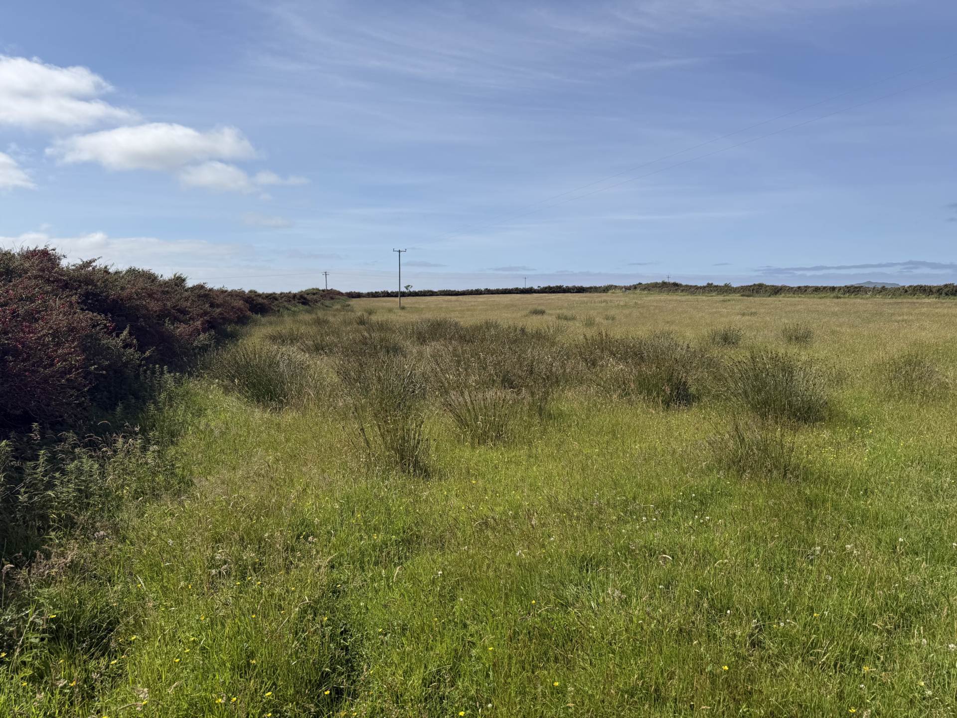 Lateeve Beg, Ballyferriter, Image 2