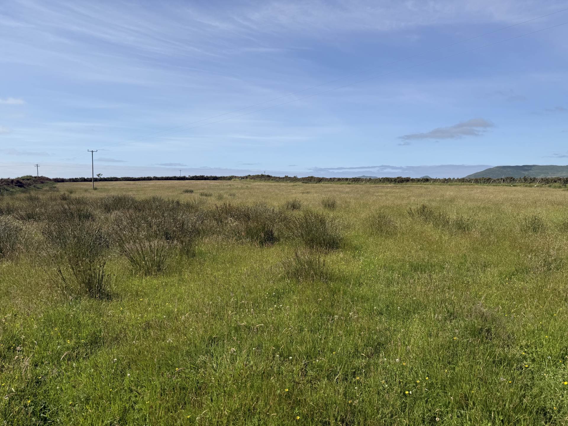 Lateeve Beg, Ballyferriter, Image 4