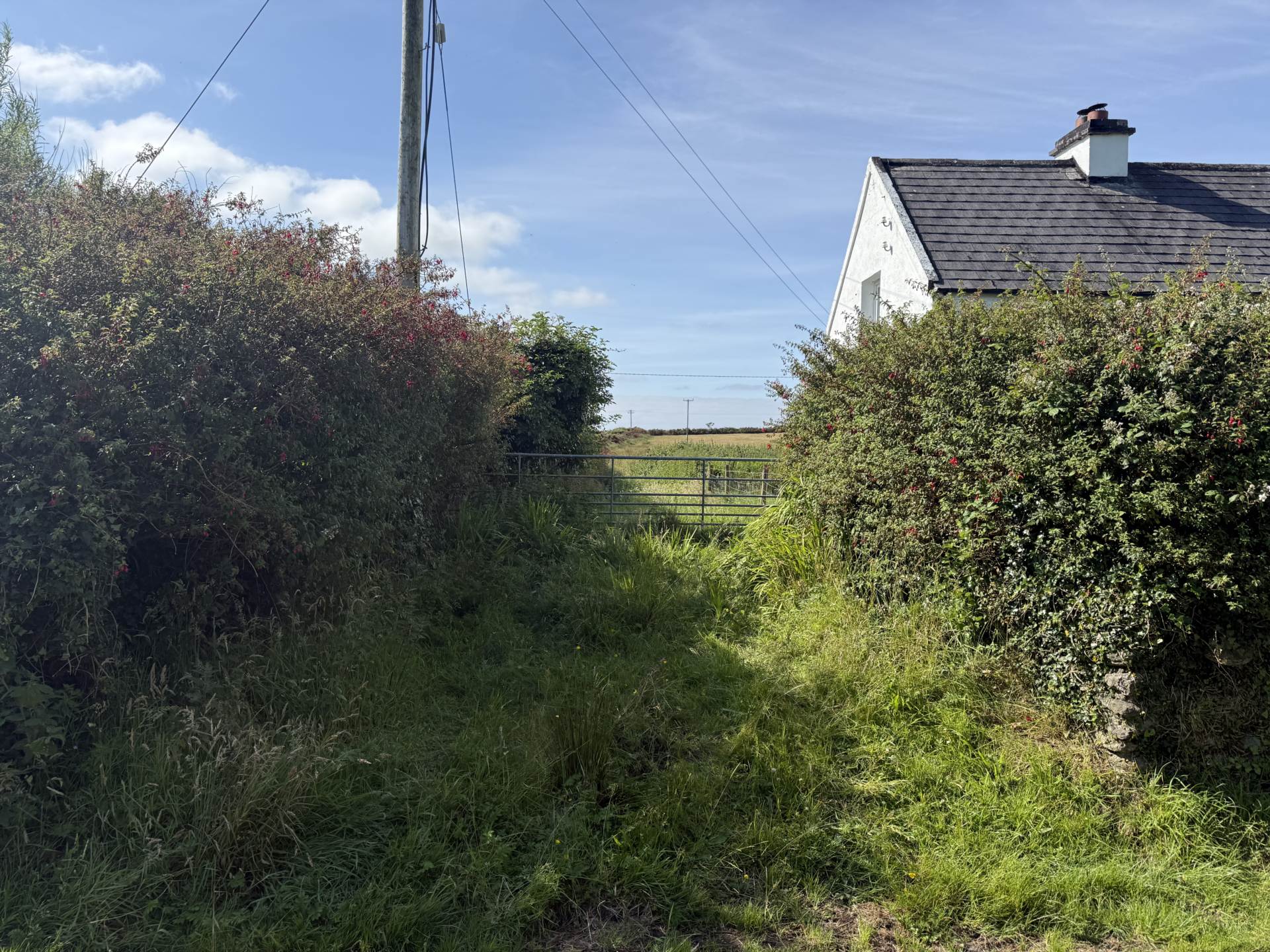Lateeve Beg, Ballyferriter, Image 5