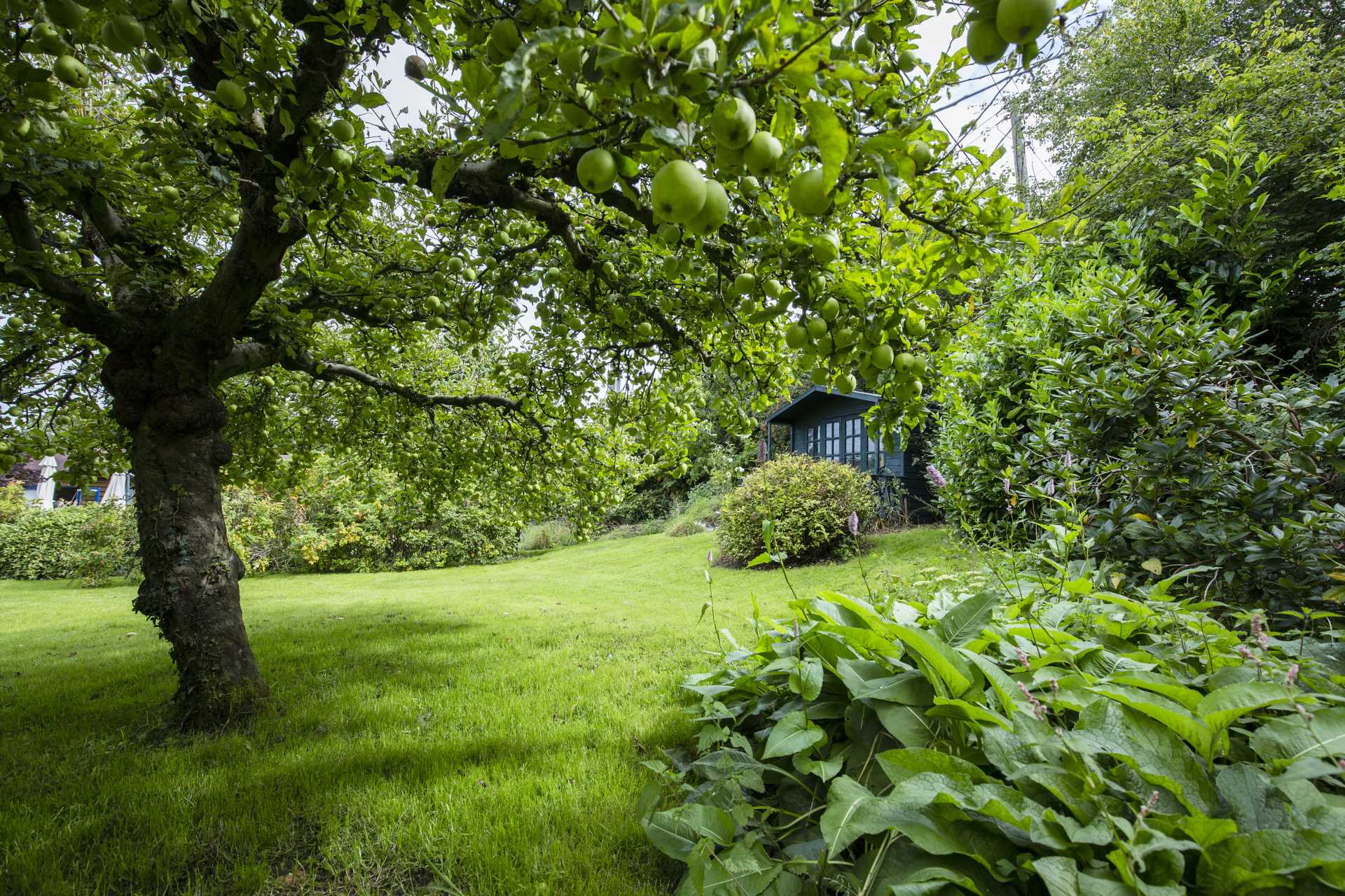 Hilltop, Hunton, Image 17