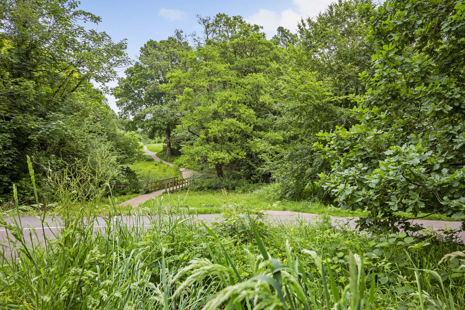 Addison Road, Tunbridge Wells, Image 10