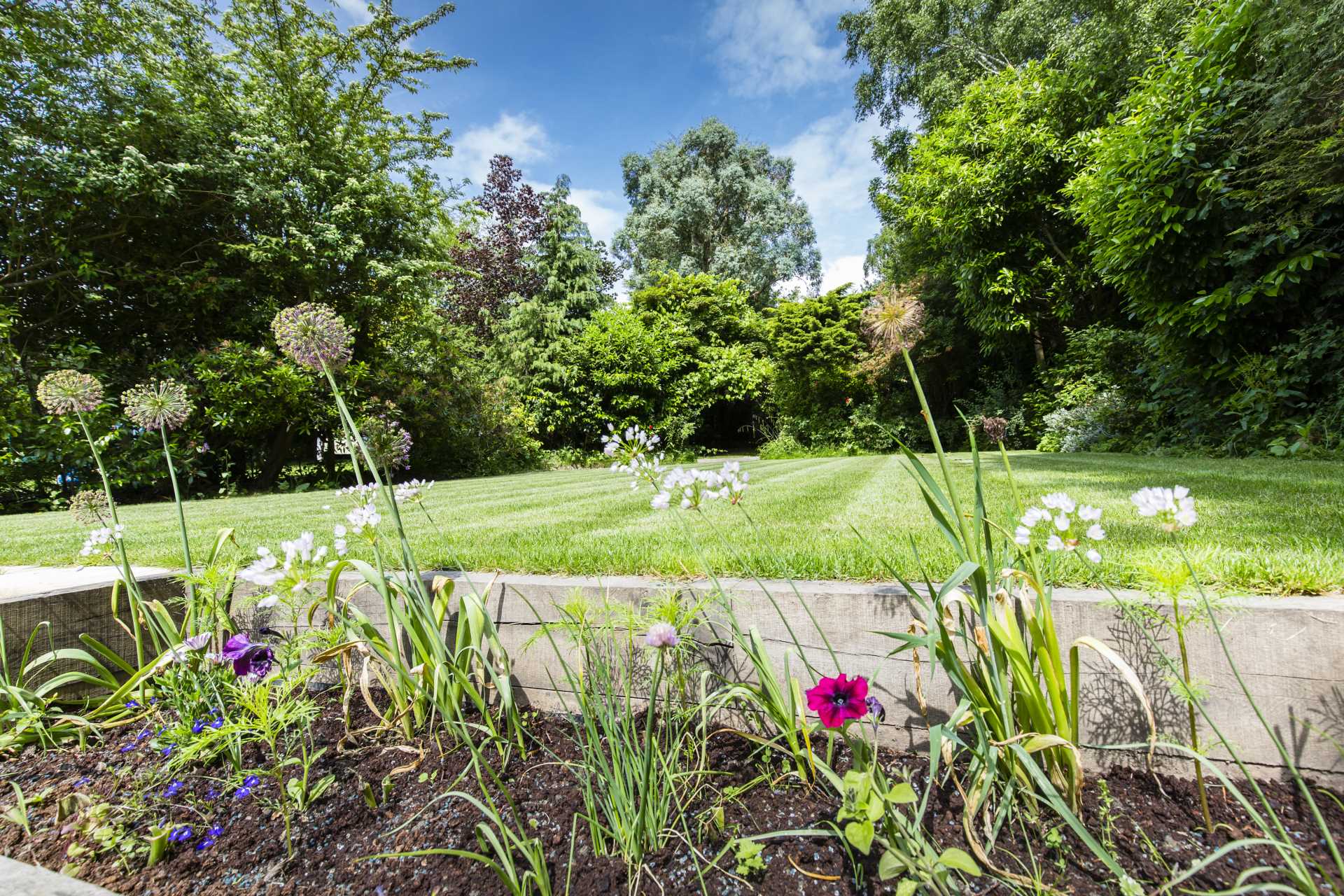 Hardinge Avenue, Southborough/Bidborough Border, Image 14