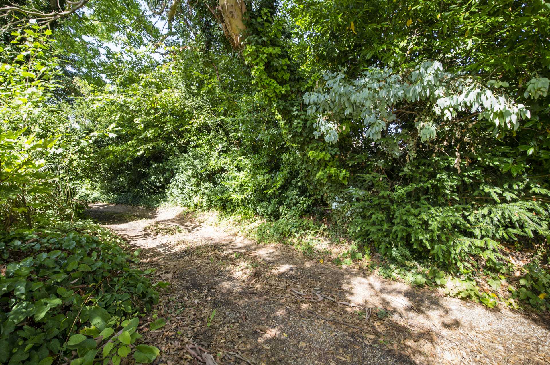 Garlinge Road, Southborough, Tunbridge Wells, Image 9