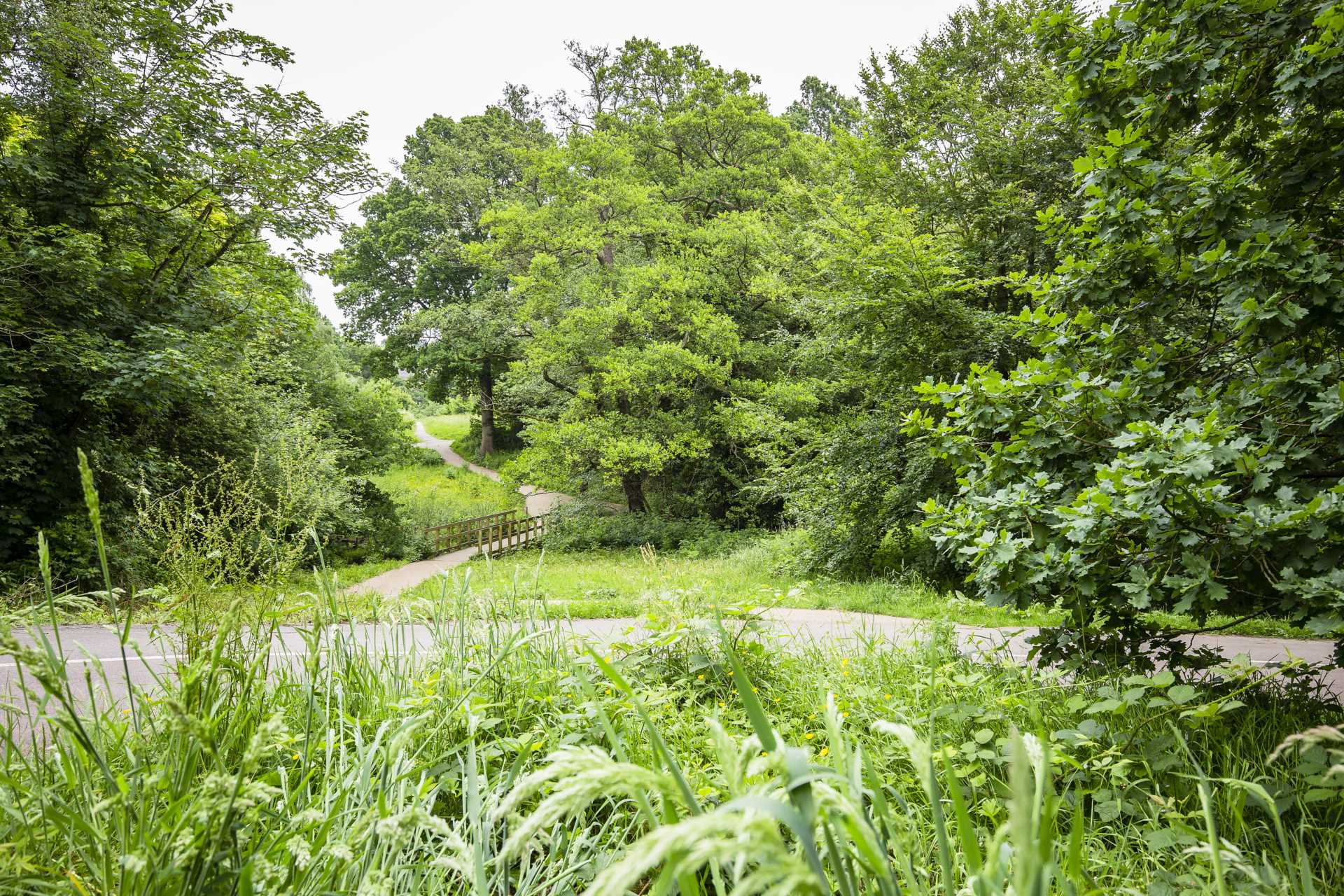 Addison Road, Tunbridge Wells, Image 10