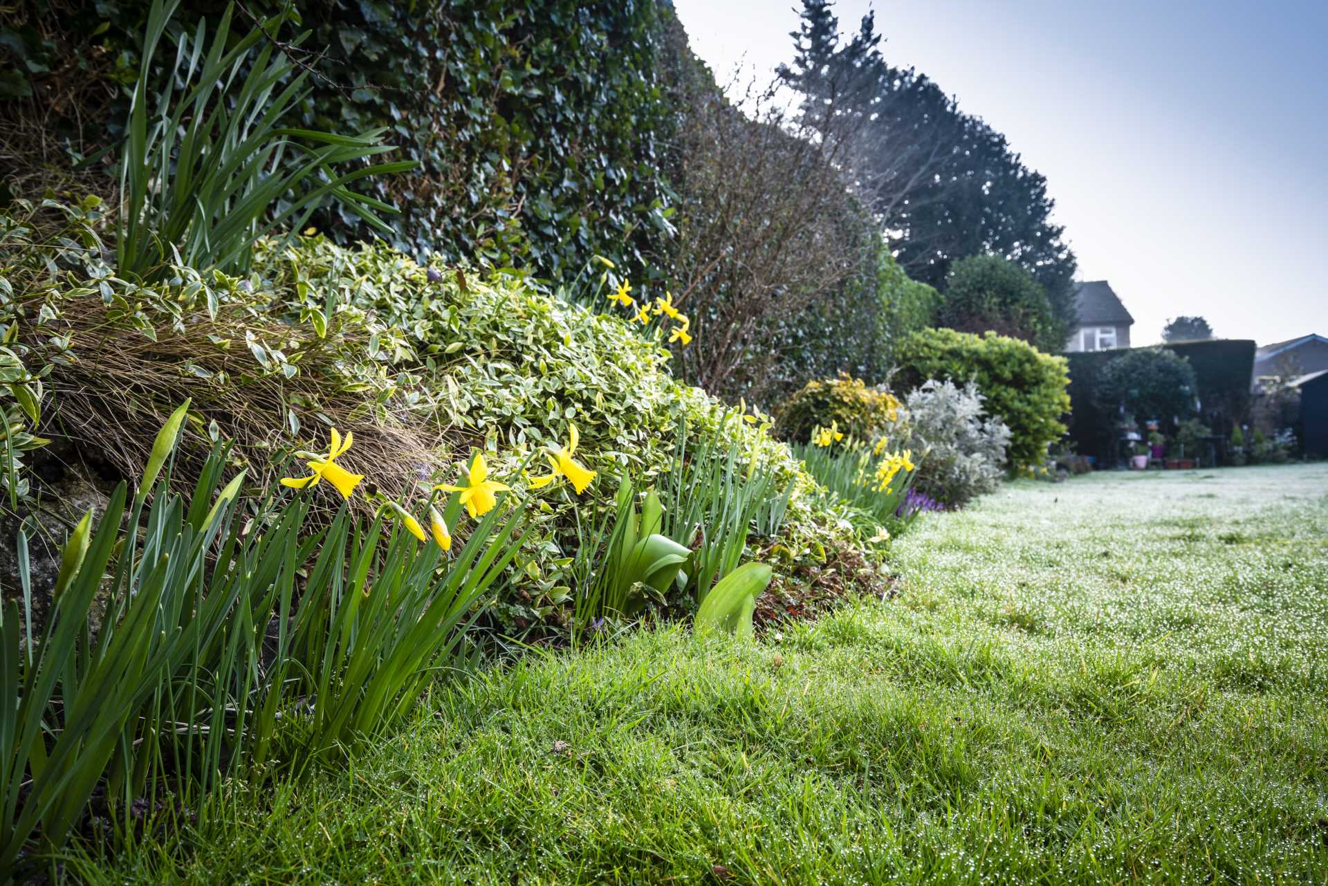 Park Road, Southborough, Tunbridge Wells, Image 8