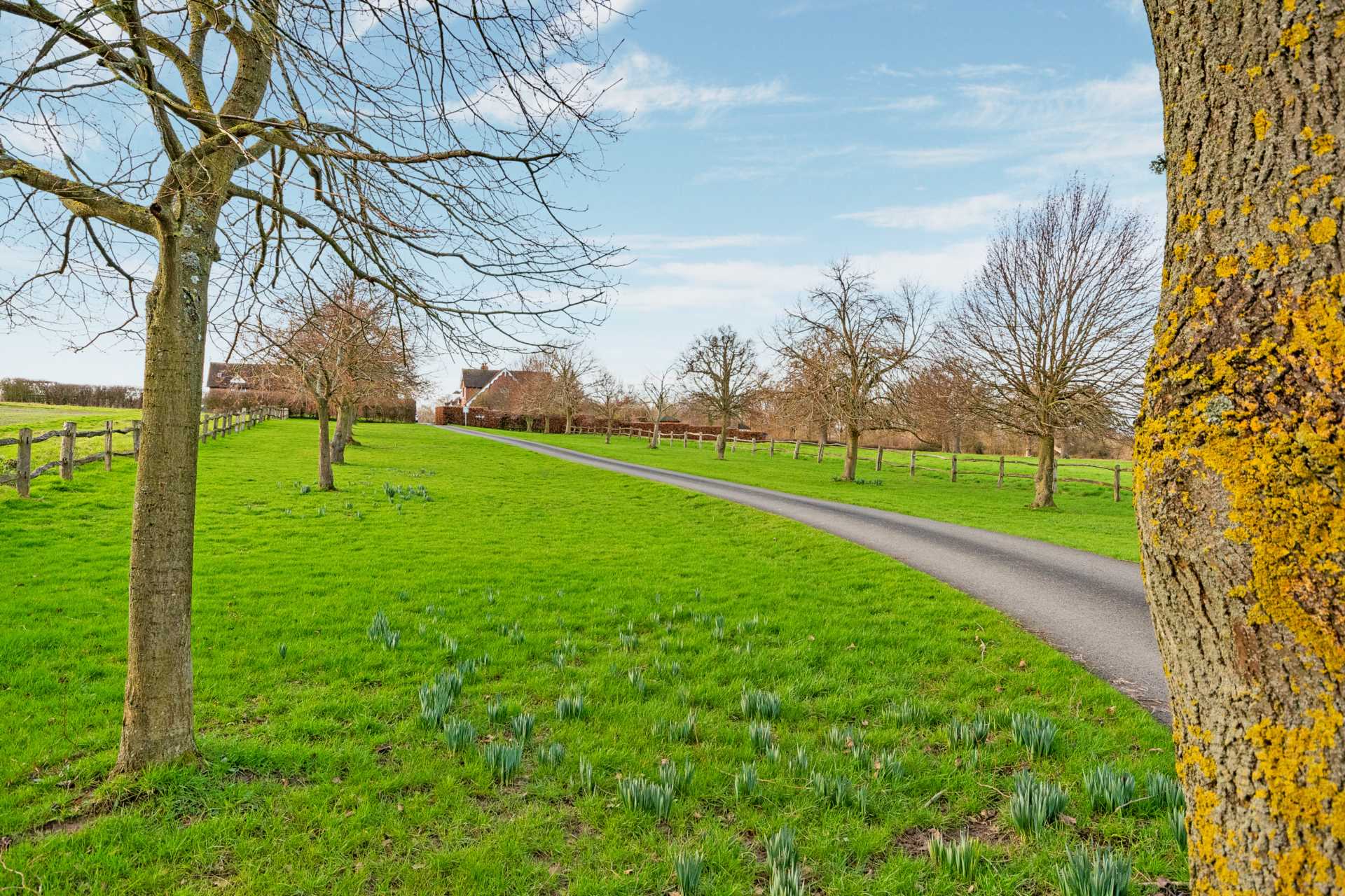 Somerhill Stud, Tudeley, Image 19