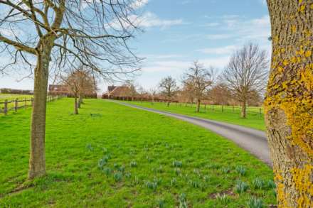 Somerhill Stud, Tudeley, Image 19