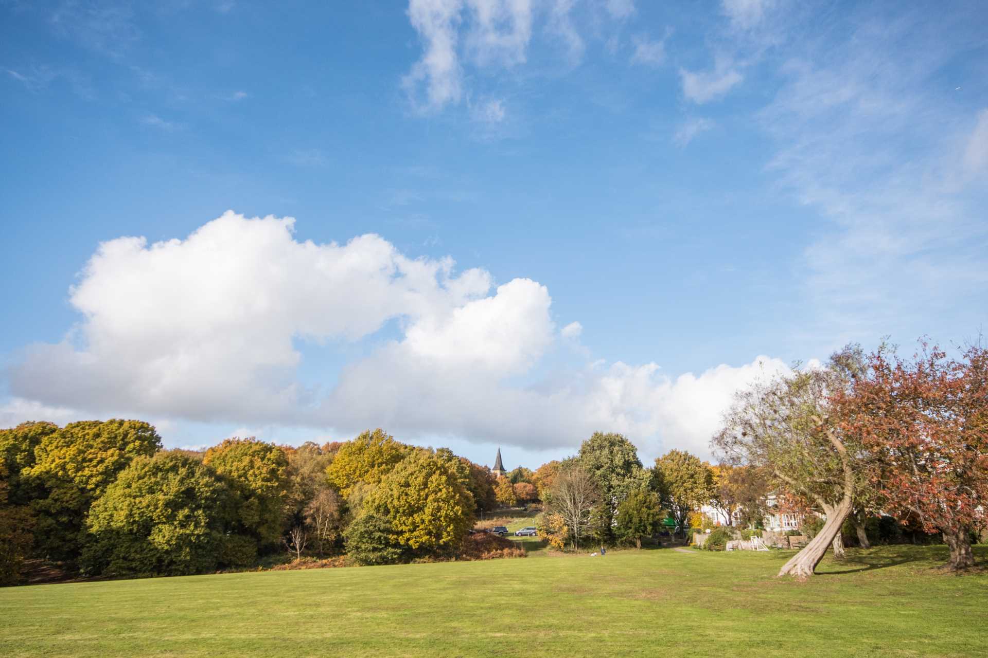 London Road, Southborough, Tunbridge Wells, Image 14