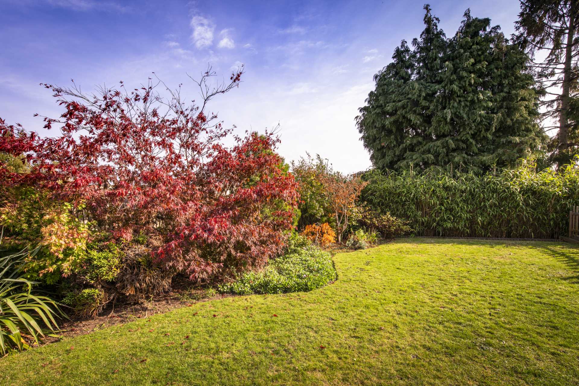 Yew Tree Road, Southborough, Tunbridge Wells, Image 18