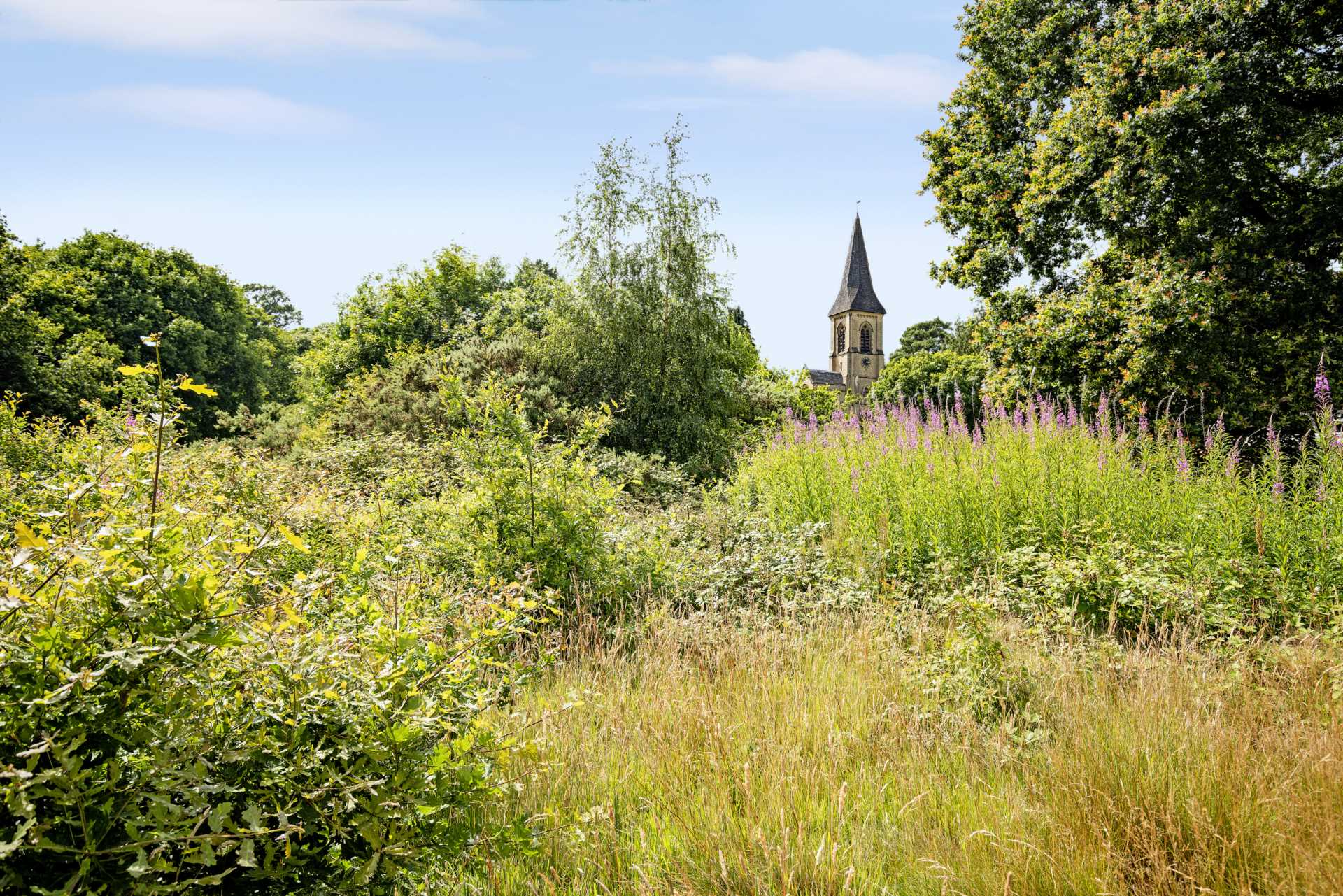 Victoria Road, Southborough, Tunbridge Wells, Image 17