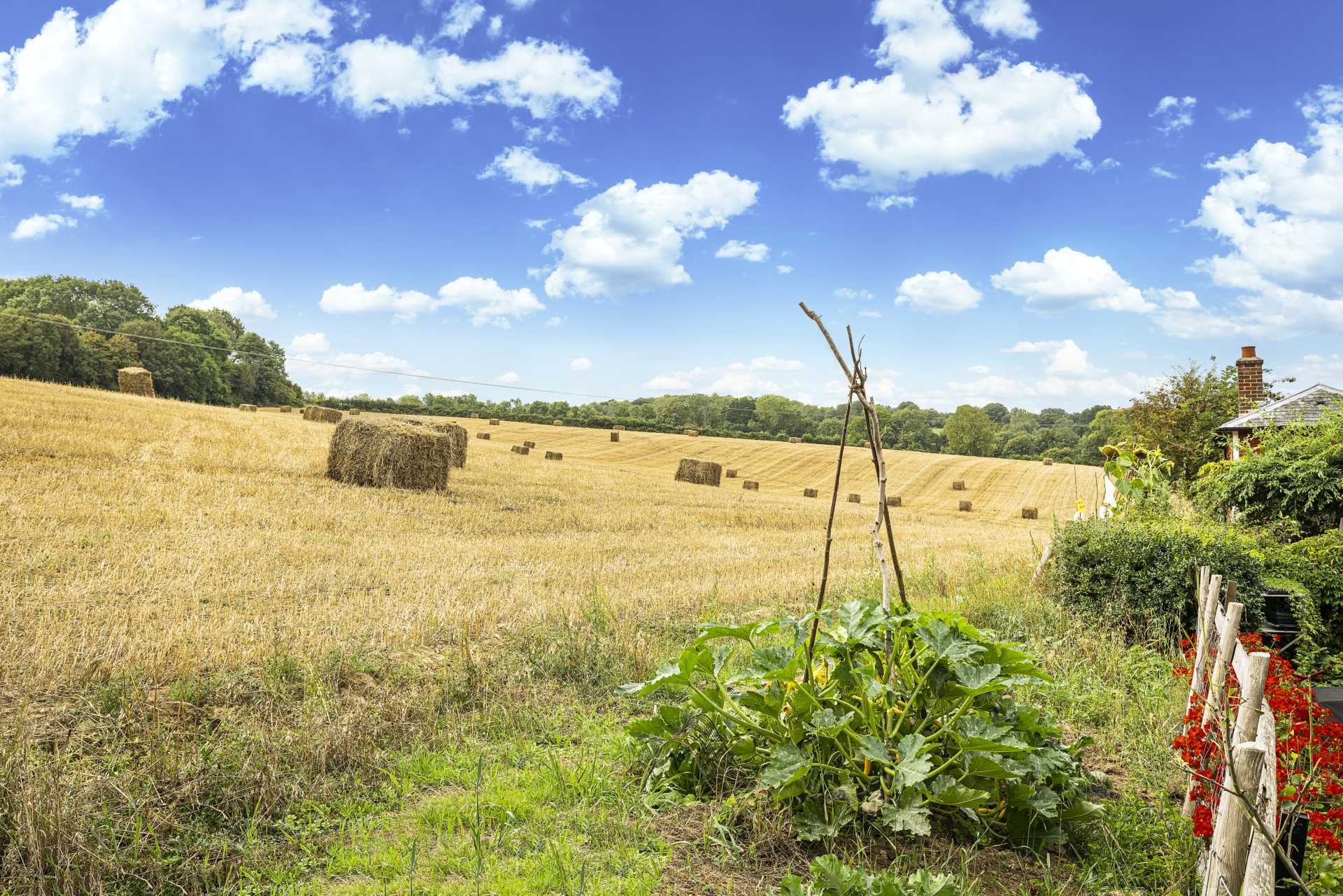 Coopers Lane, Penshurst, Image 2