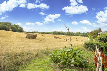 Coopers Lane, Penshurst, Image 2