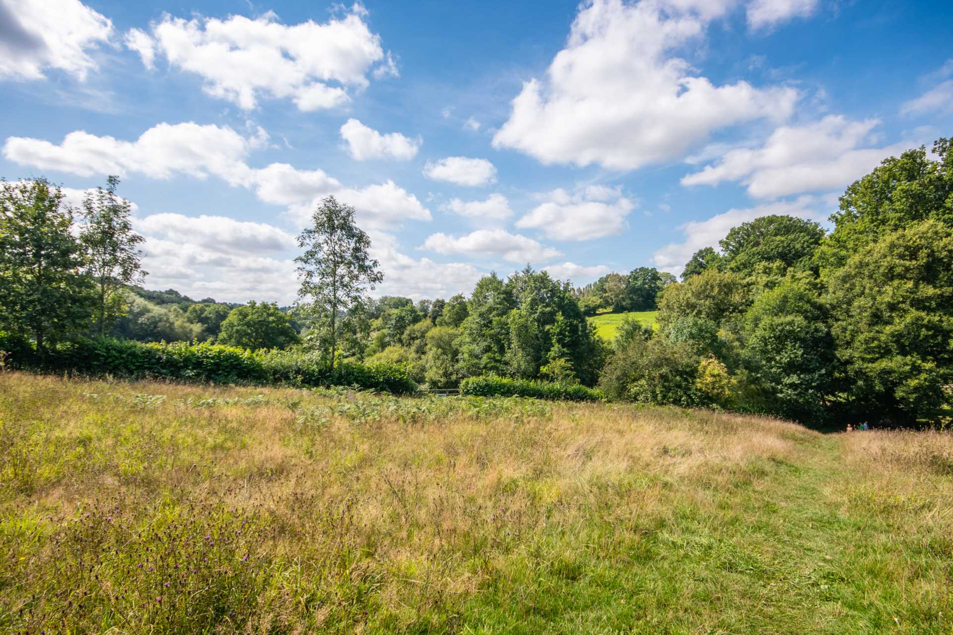 Rectory Drive, Bidborough, Tunbridge Wells, Image 30