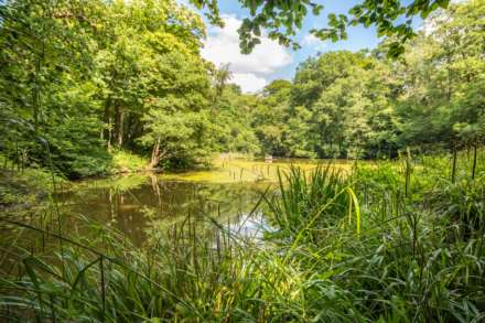 St Lawrence Avenue, Bidborough, Tunbridge Wells, Image 30