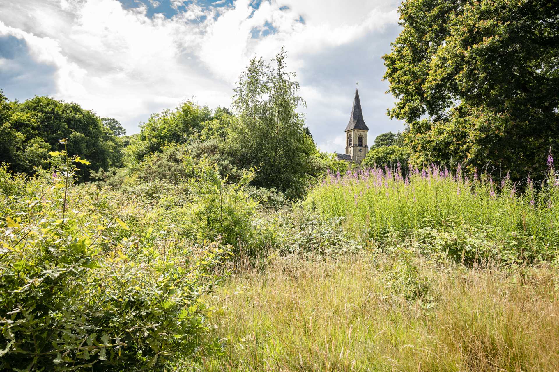 Church Road, Southborough Common, Tunbridge Wells, Image 24