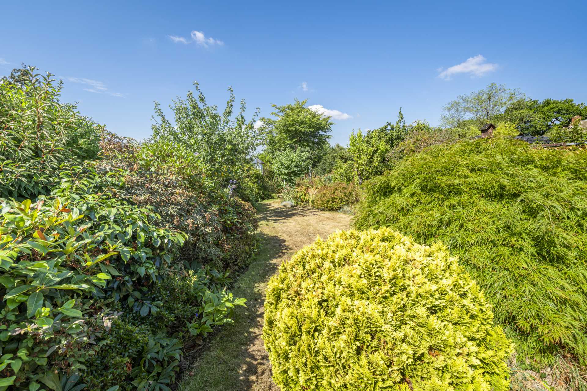 Orchard Drive, Tonbridge, Image 12