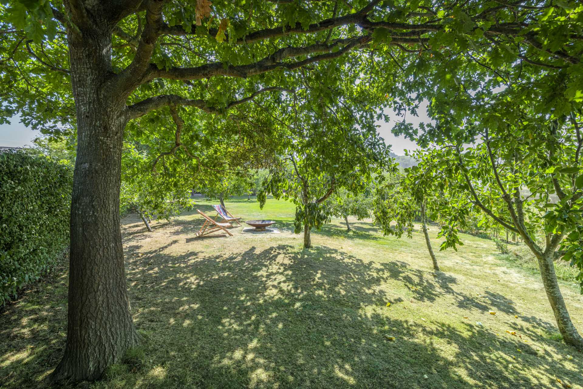 Lower Haysden Lane, Tonbridge (near Bidborough and Tunbridge Wells), Image 26