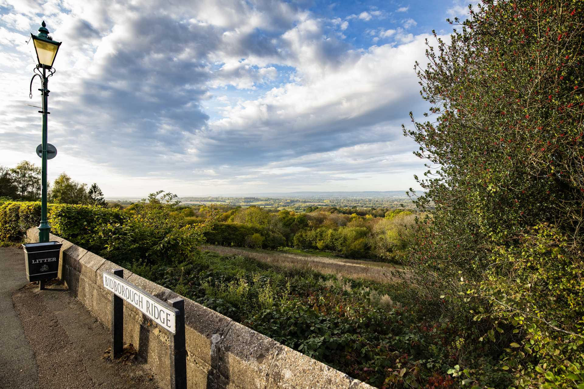 Bidborough Ridge, Bidborough, Tunbridge Wells, Image 23