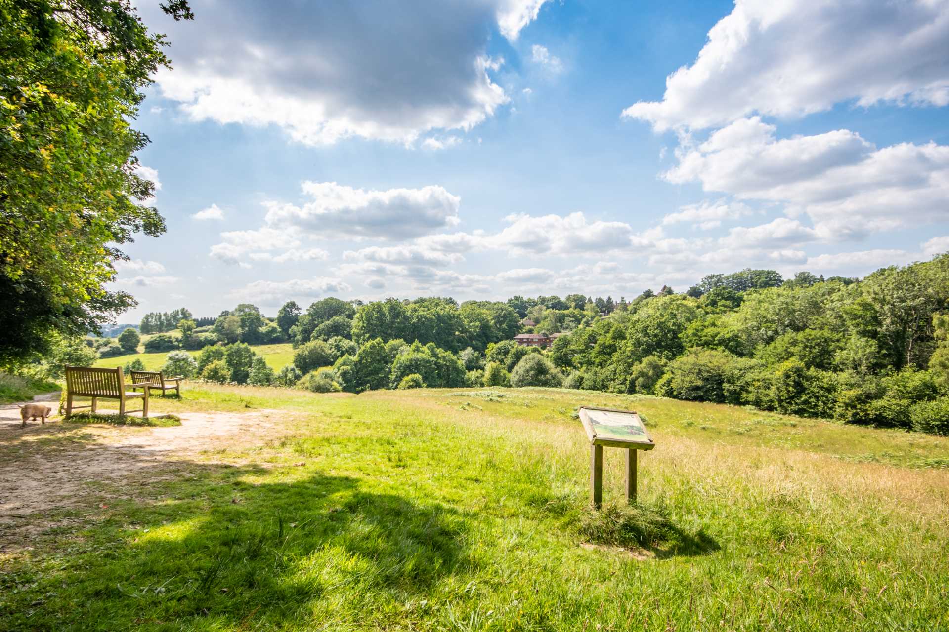 Bidborough Ridge, Bidborough, Tunbridge Wells, Image 24