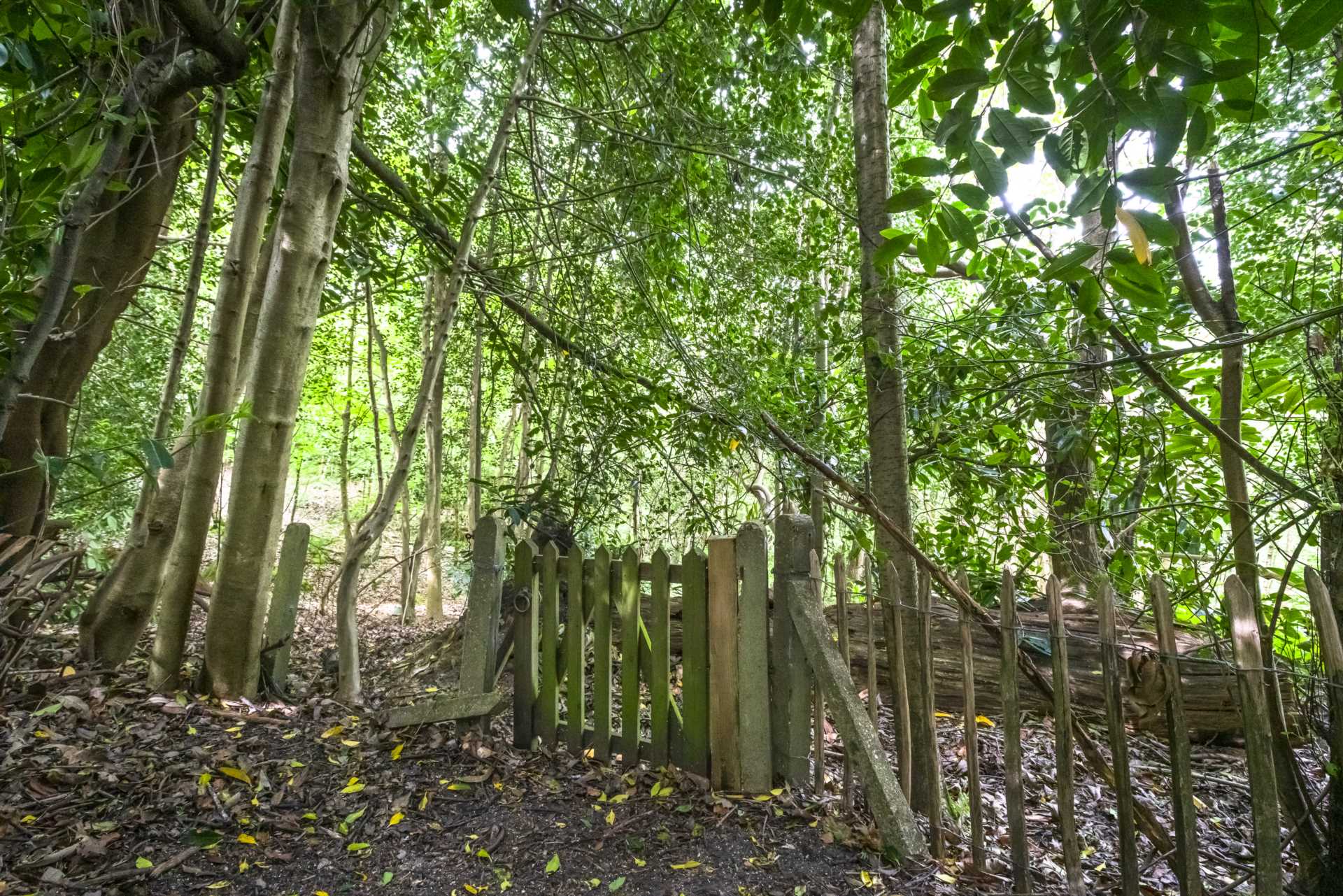 Hardinge Avenue, Southborough, Tunbridge Wells, Image 16