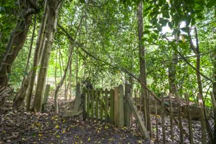 Hardinge Avenue, Southborough, Tunbridge Wells, Image 16