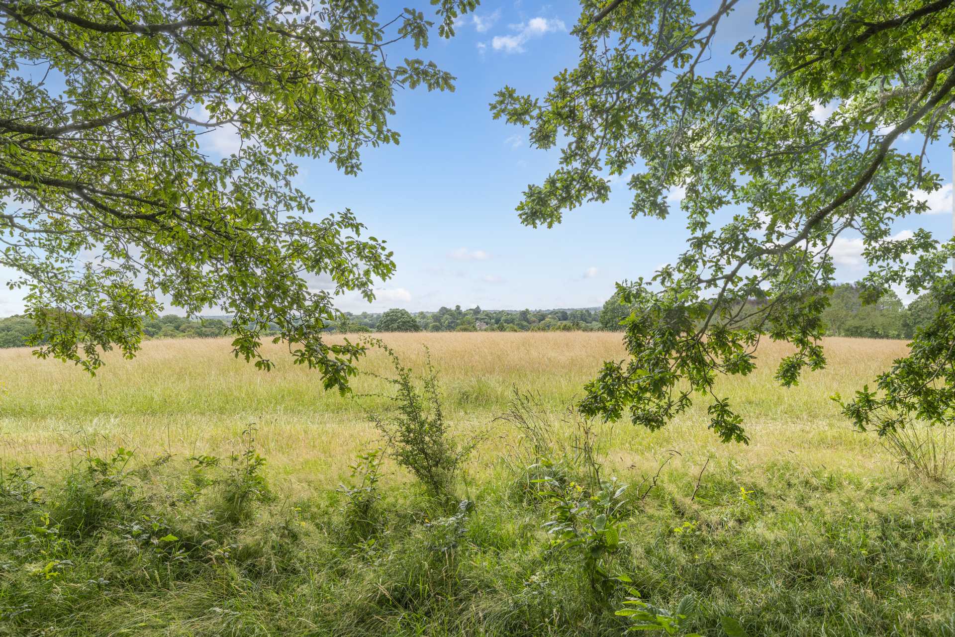 Hardinge Avenue, Southborough, Tunbridge Wells, Image 2