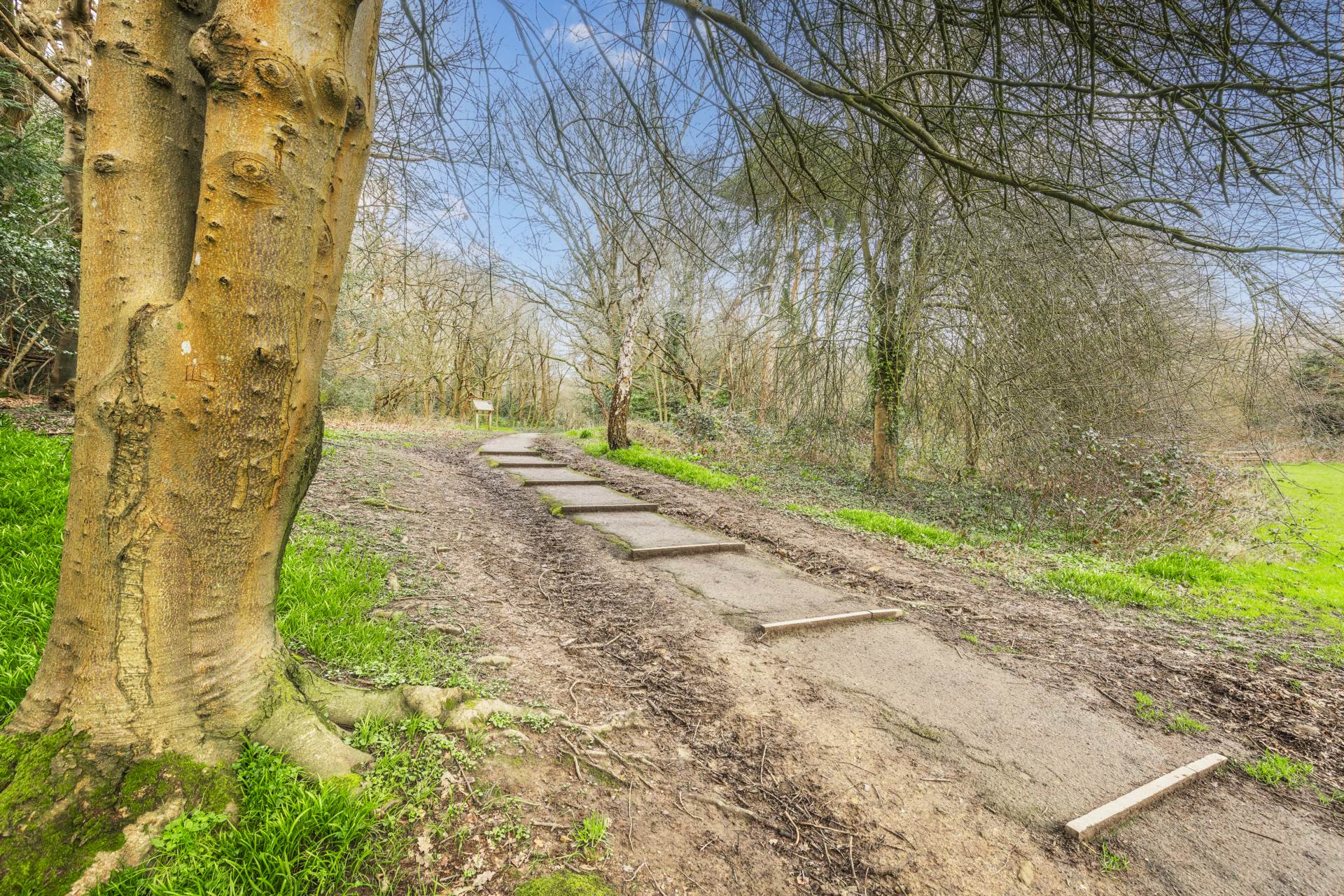 Holden Road, Southborough, Tunbridge Wells, Image 14