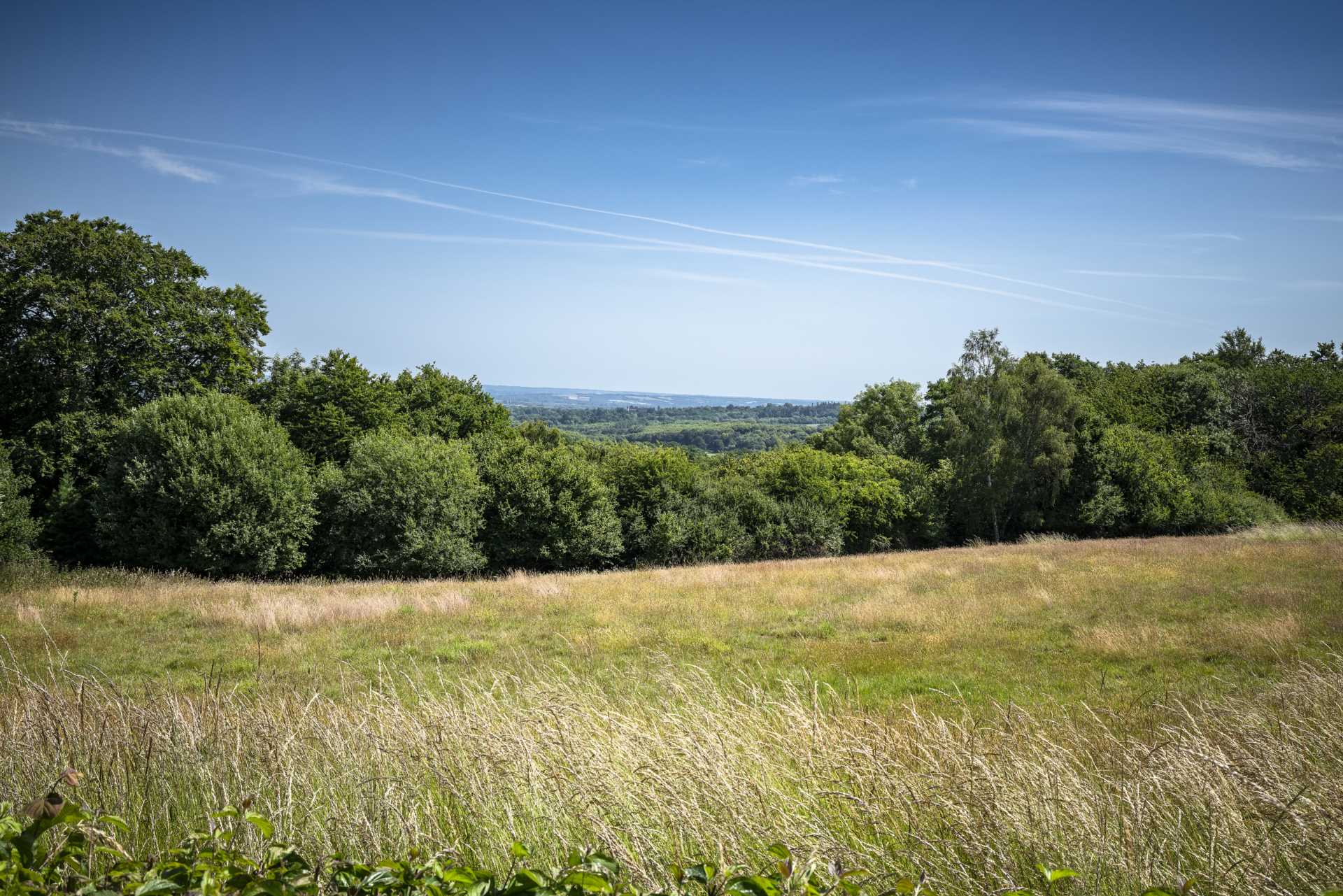 London Road, Southborough, Tunbridge Wells, Image 15