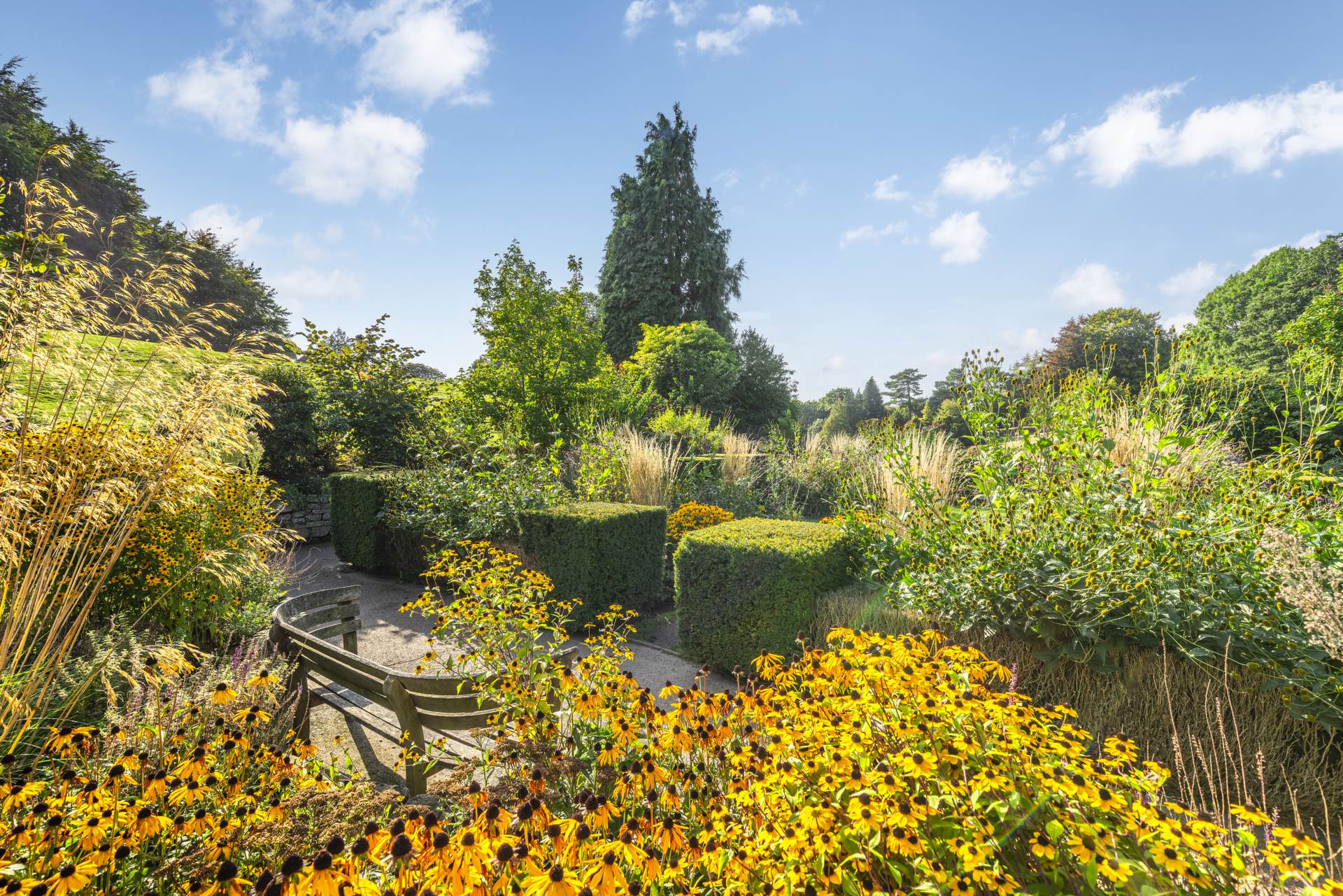 Mountfield Gardens, Tunbridge Wells, Image 9