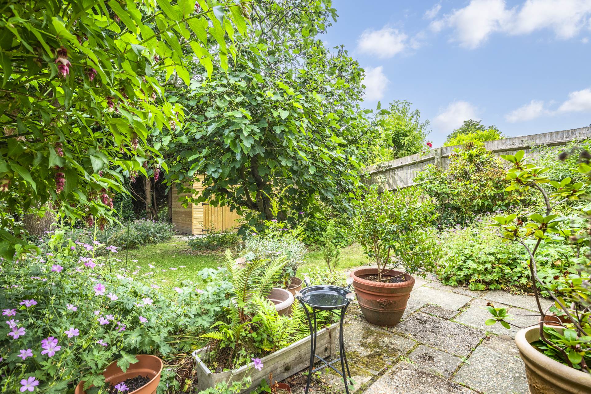 Queens Road, Tunbridge Wells, Image 13