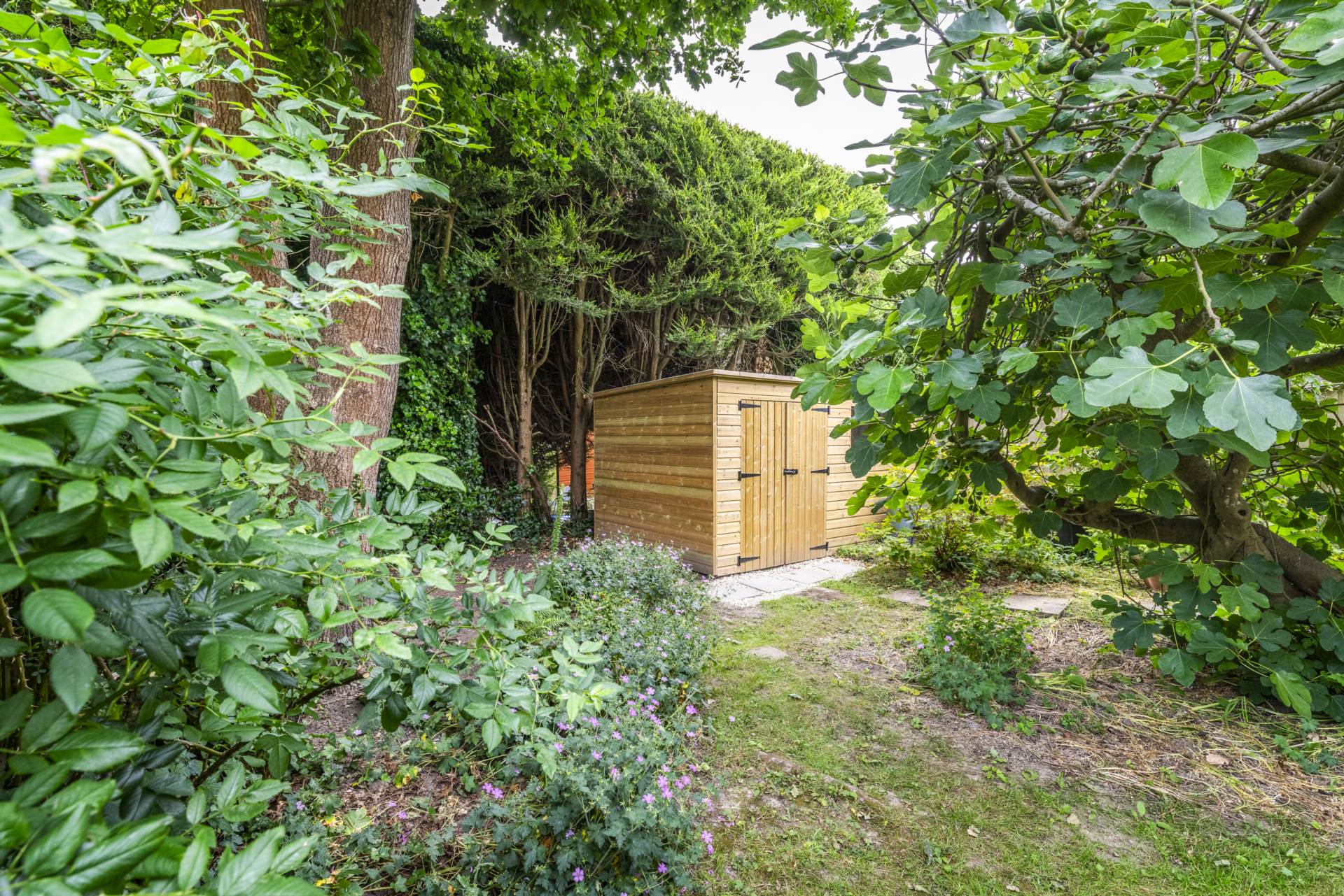 Queens Road, Tunbridge Wells, Image 15