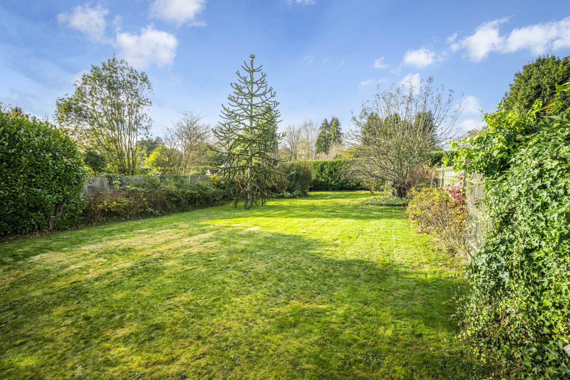 Harland Way, Southborough, Tunbridge Wells, Image 20