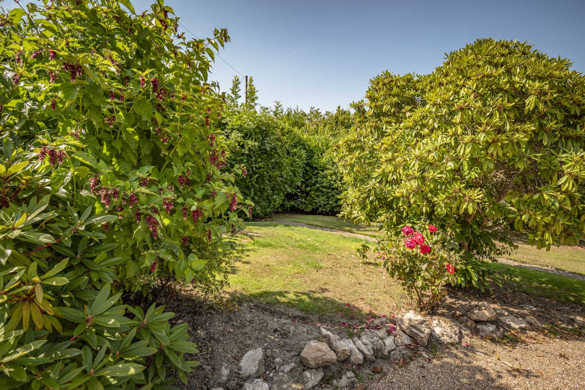 Pennington Road, Southborough, Tunbridge Wells, Image 9