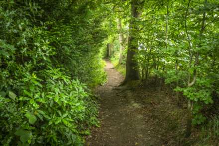 Hardinge Avenue, Southborough, Tunbridge Wells, Image 22