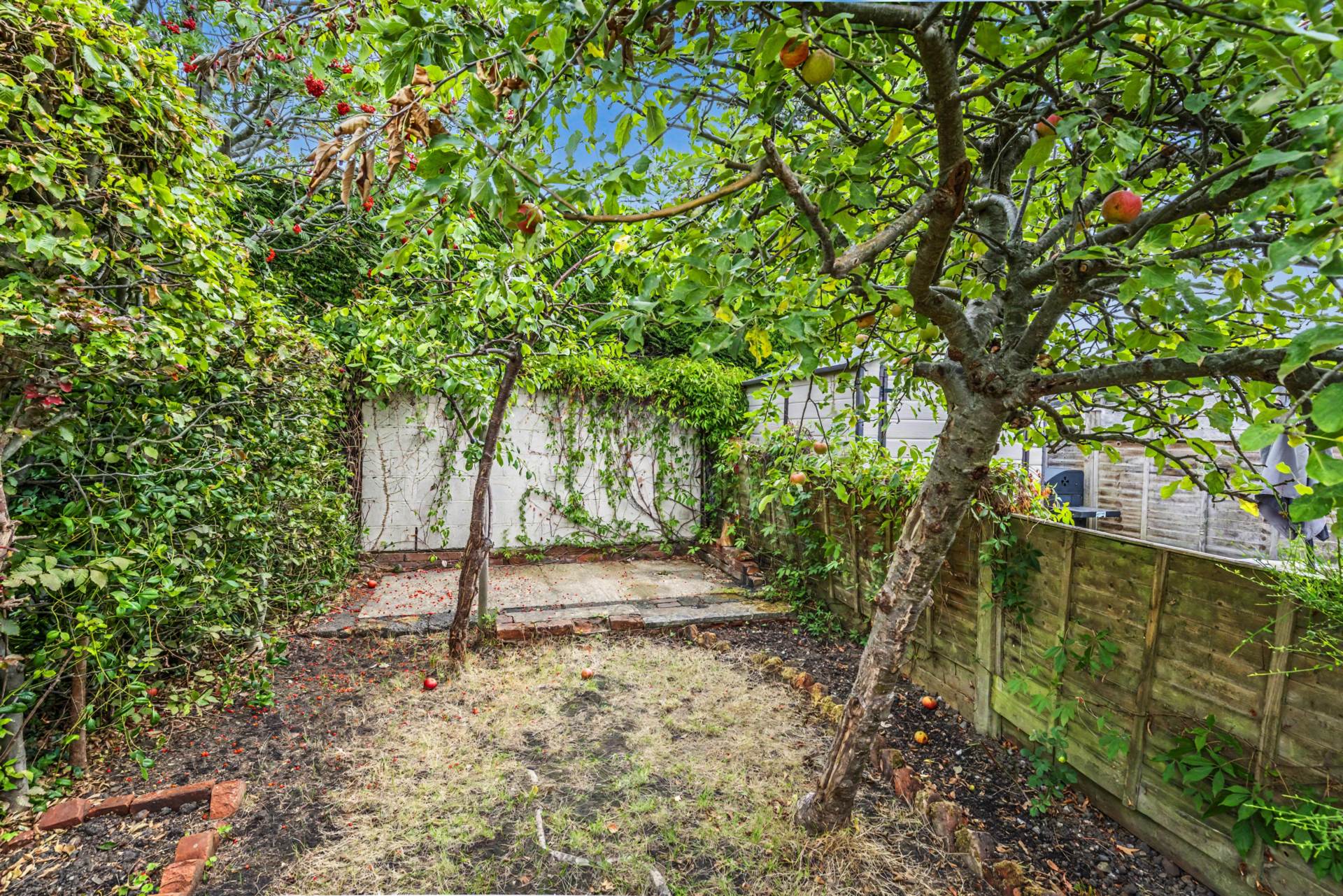 Castle Street, Southborough, Tunbridge Wells (no chain), Image 13