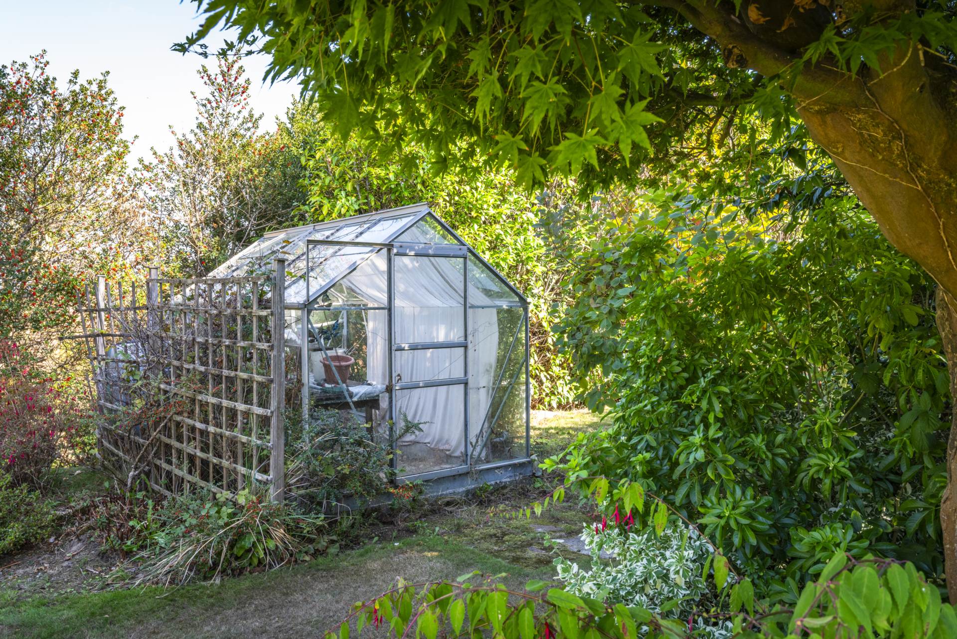 Smythe Close, Southborough, Tunbridge Wells (no chain), Image 19