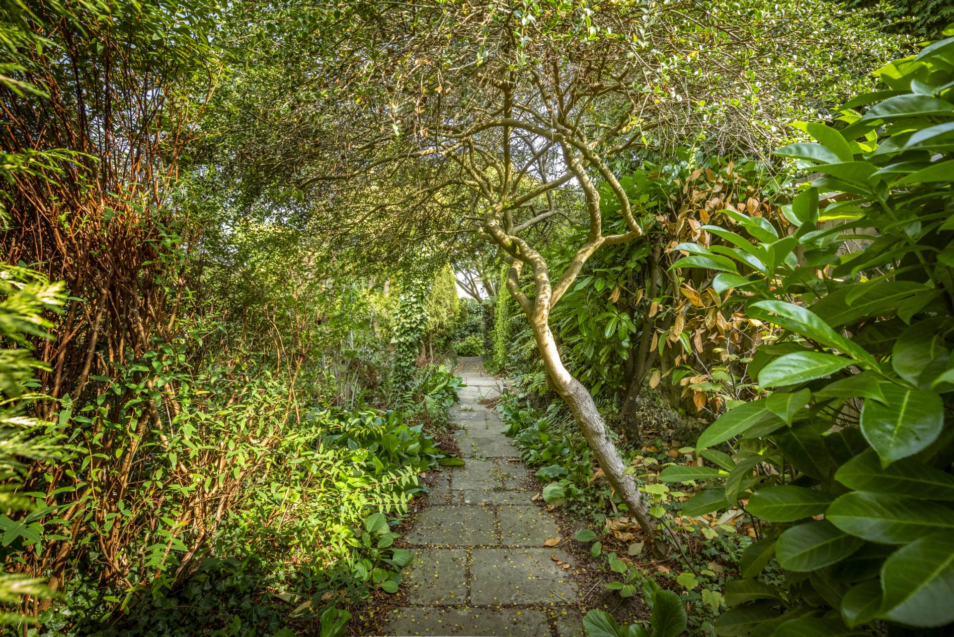 Yew Tree Road, Southborough, Tunbridge Wells (no chain), Image 22