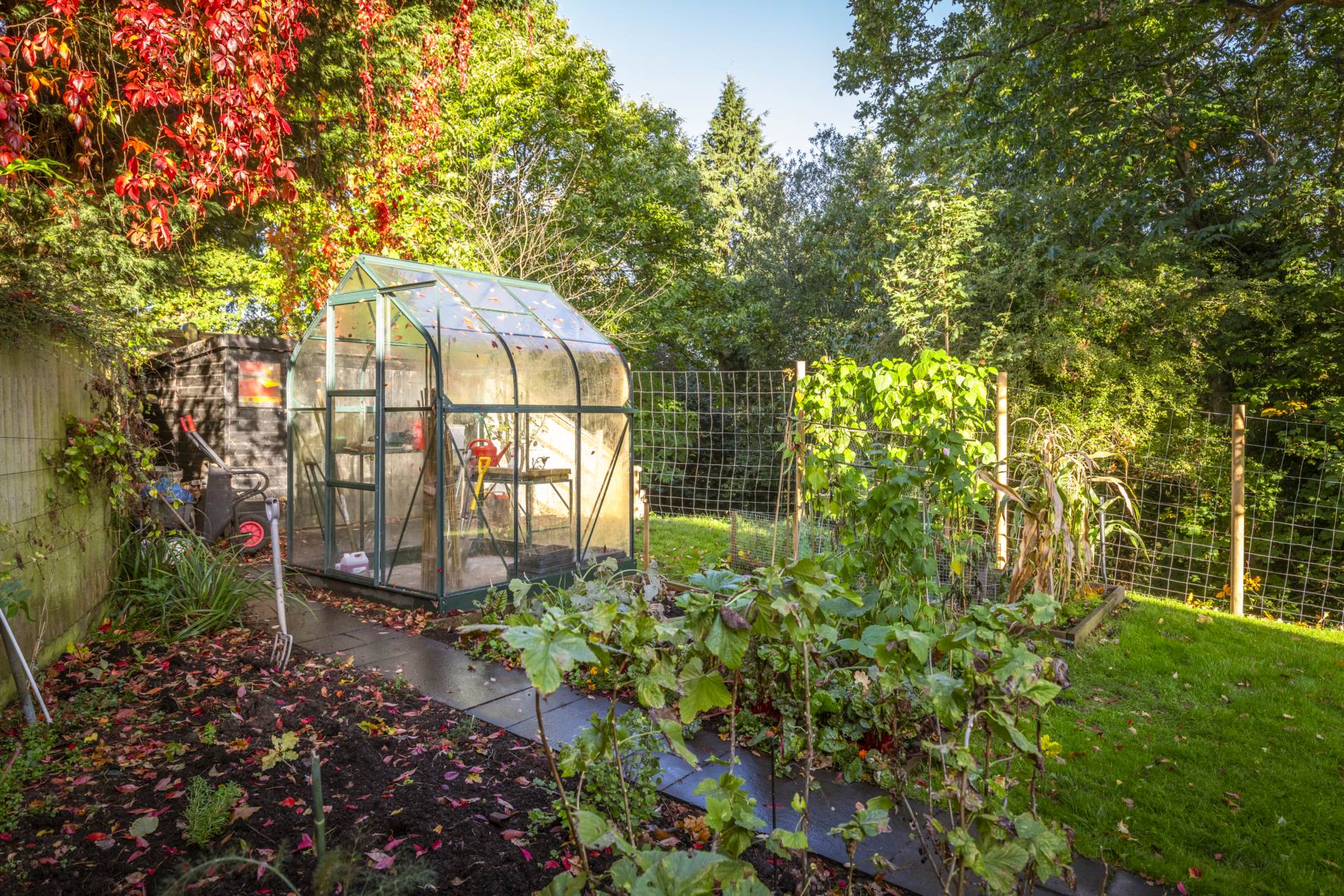 Pennington Road, Southborough, Tunbridge Wells, Image 22