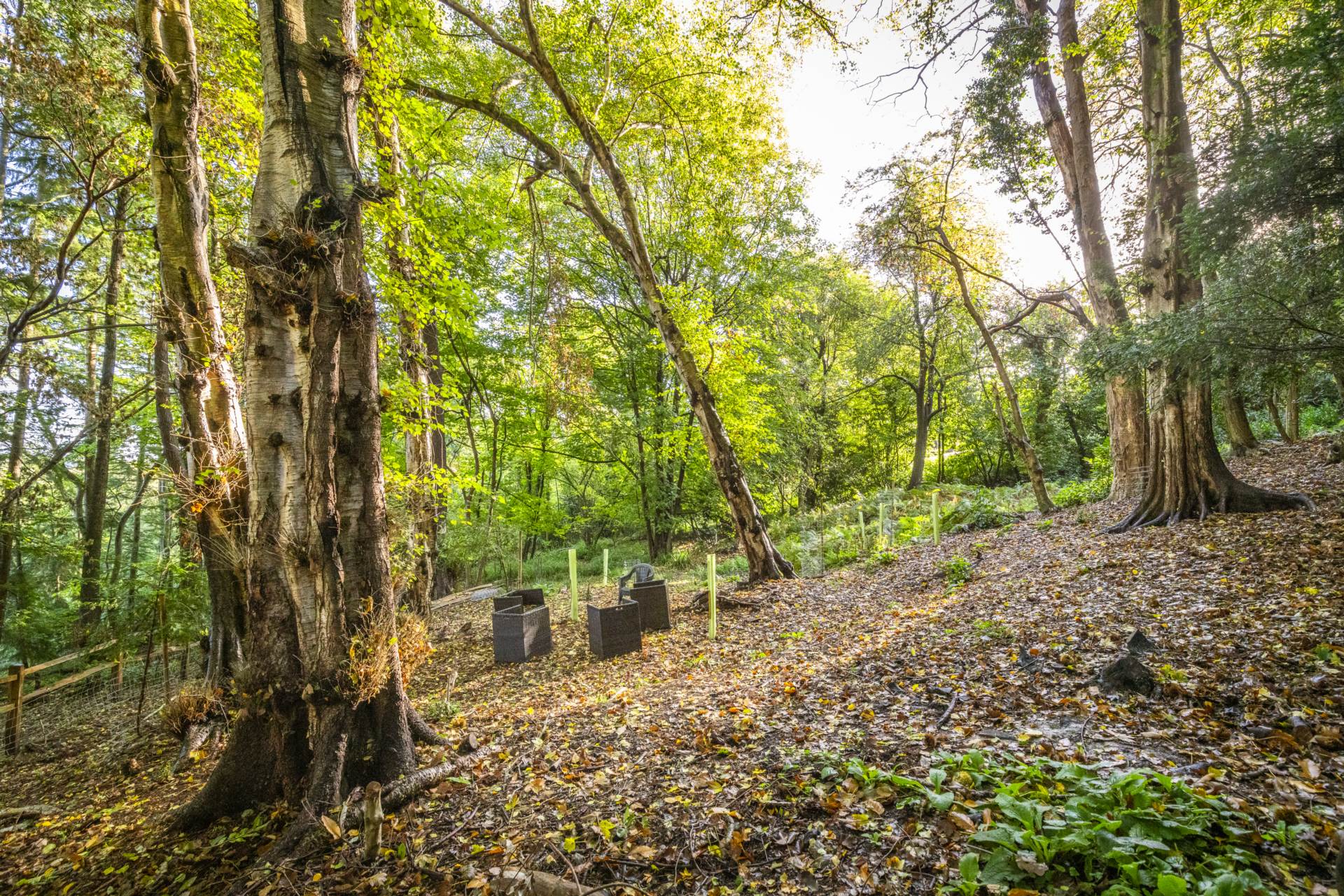 Pennington Road, Southborough, Tunbridge Wells, Image 24