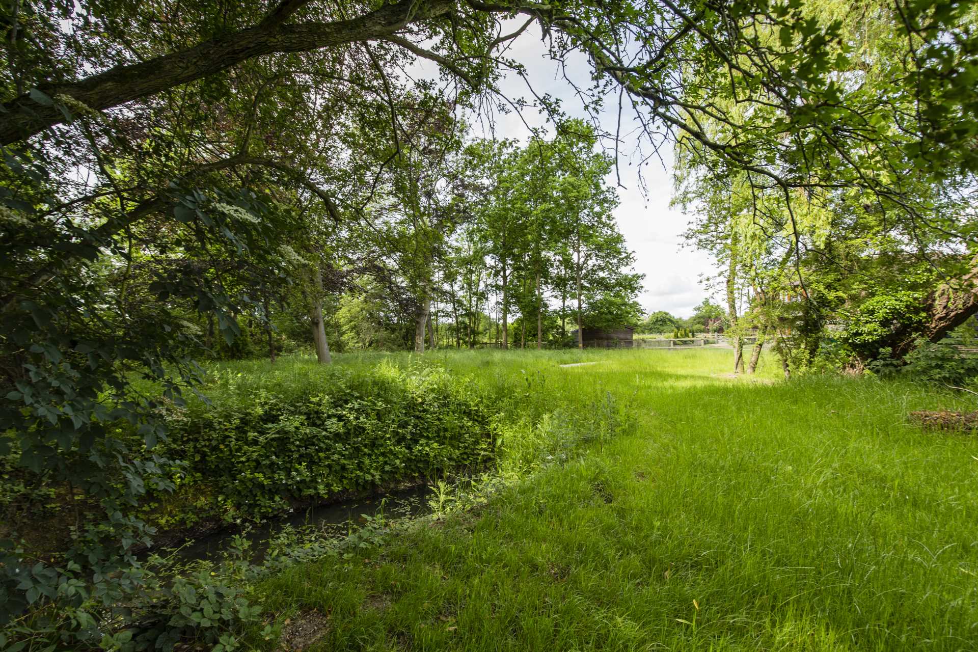 Stocks Close, Hildenborough, Image 17