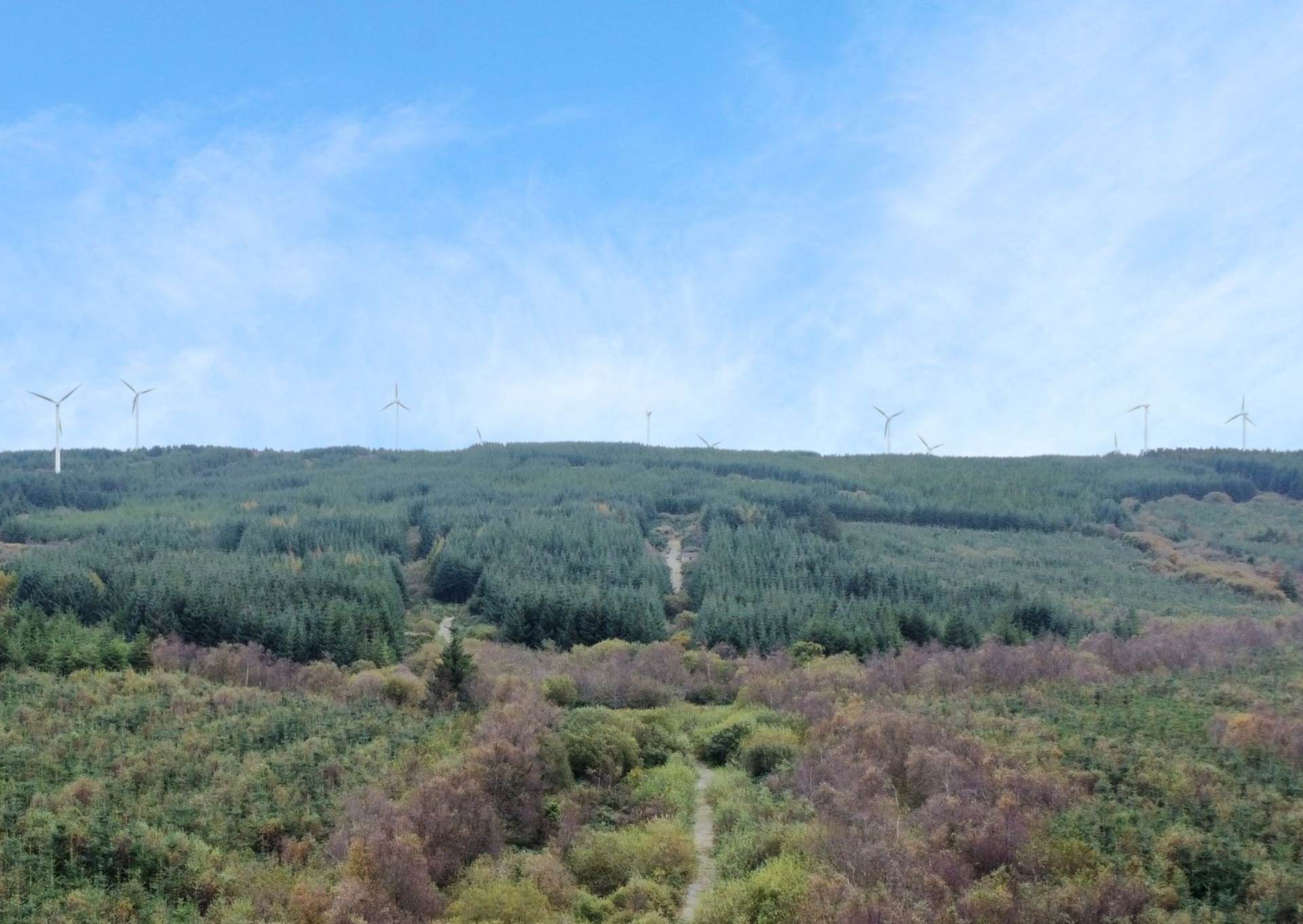 Forestry Land, Cappagh, Kilflynn, County Kerry