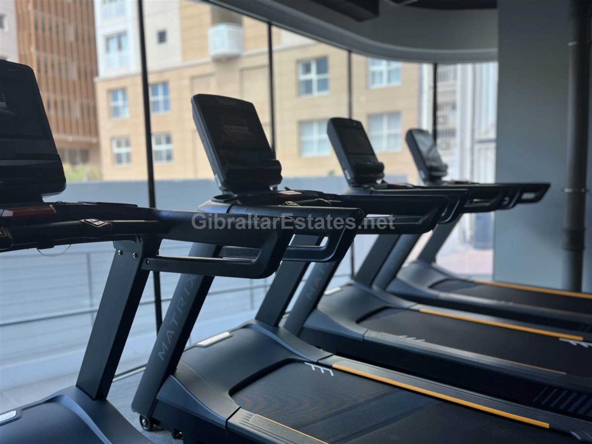 Carrara Europort, Town Area, Image 8