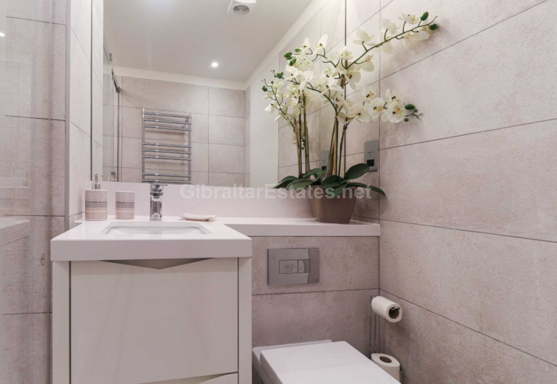 Eurocity Carrara, Image 8