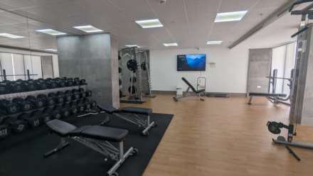 The Hub, Image 7