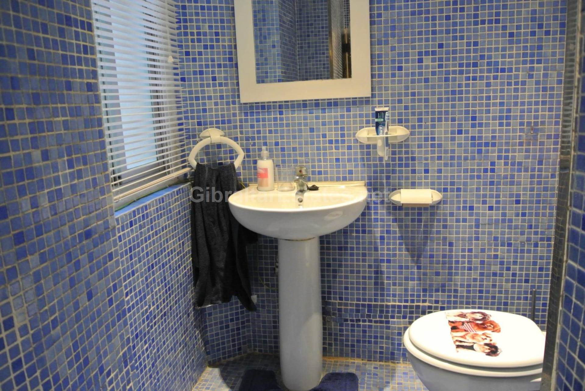 Lynch's Lane, Image 10