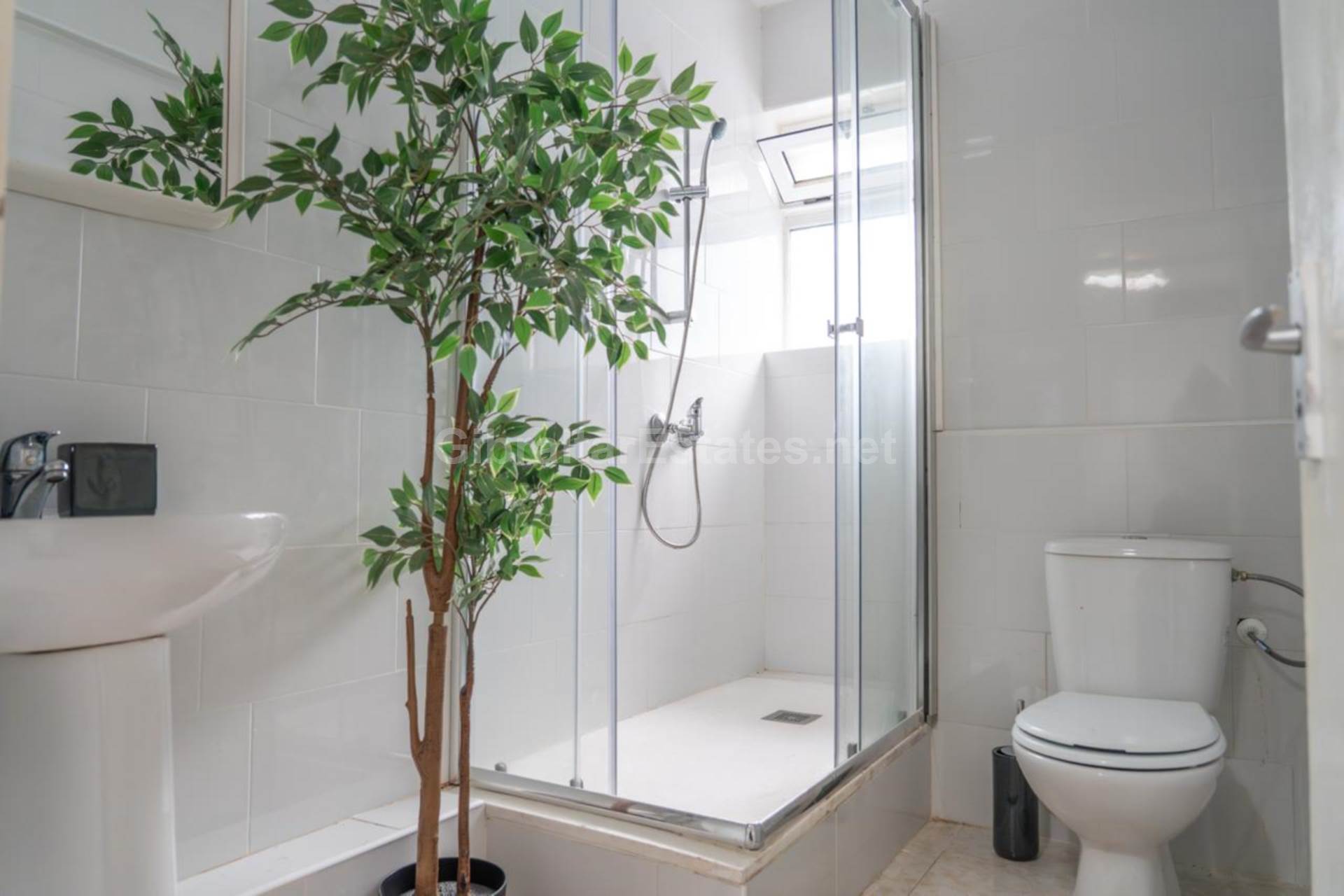 Marina Court, Image 8