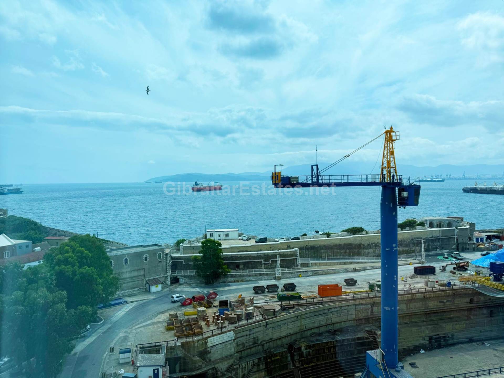 Cumberland Terraces, Image 7