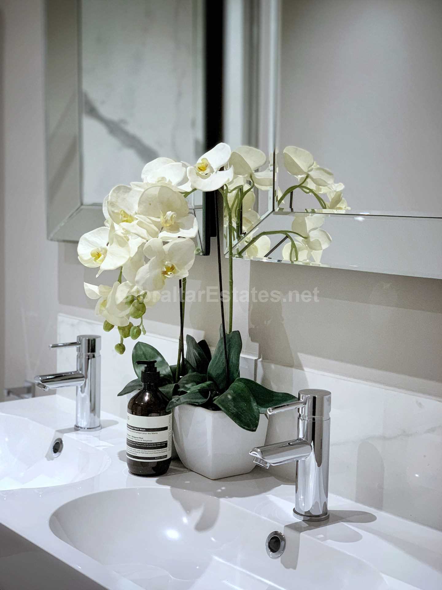 Magnificent Penthouse - Town Center, Image 4