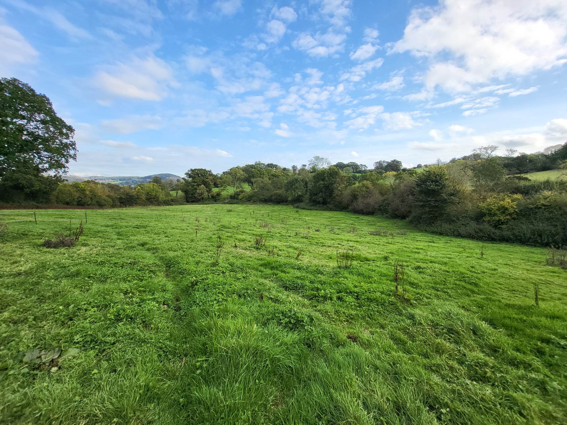 Holyford Lane, Colyford, Colyton, Image 20